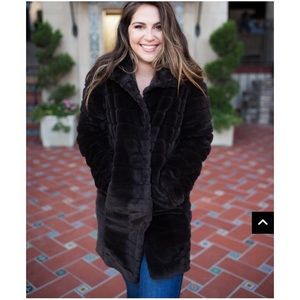 BuddyLove Vargas Coat - Brown Small